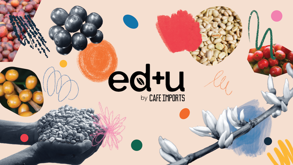 ED+U_Brand_Drafts